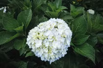 Người có giờ sinh này, tiền bạc đầy kho, hôn nhân viên mãn