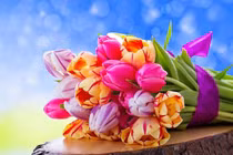 Bé gái có giờ sinh này được ví như viên ngọc quý 