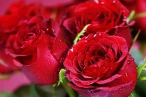 Nóng tính nhưng tốt bụng, 3 con giáp có tương lai đủ đầy