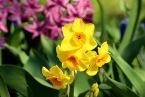 Sinh vào 6 ngày Âm này, quý nhân phía trước, Thần Tài phía sau, cực giàu