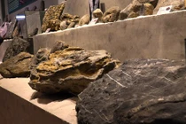 Tận mục phiến đá cổ niên đại "khủng" 2,9 tỷ năm độc nhất VN