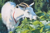 Ai khổ mặc ai: 3 con giáp chuẩn căn phú quý, tiền đầy ví 2023