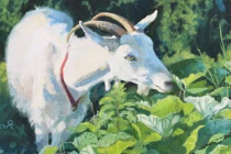 Ai khổ mặc ai: 3 con giáp chuẩn căn phú quý, tiền đầy ví 2023