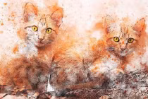 5 tháng cuối 2022: 4 con giáp Ngọc Hoàng ban lộc, bộn tiền đón Tết to