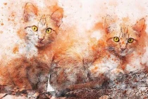 5 tháng cuối 2022: 4 con giáp Ngọc Hoàng ban lộc, bộn tiền đón Tết to