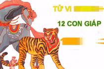 Đầu tháng 7 âm: 3 tuổi bề trên nâng đỡ, 1 tuổi Hung tinh chiếu mệnh