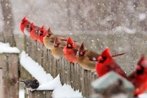 Ngỡ ngàng trước những khoảnh khắc kỳ thú của Mẹ Thiên nhiên