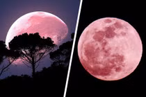 Hôm nay, Việt Nam đón “siêu trăng dâu tây” ảo diệu giữa hoàng hôn 