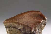 Cận cảnh “miếng thịt kho tàu” đặc biệt trong bảo tàng Đài Loan