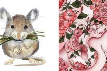 Quý Mão 2023: 3 tuổi bị Thái Bạch càn quét túi tiền, nghèo xơ xác