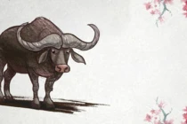 3 con giáp tháng 10 đổi vận, tháng 11-12 đón lộc phát tài