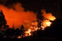 Năm cuốn sách về khí hậu nên đọc trước thềm COP-27