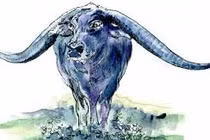 Đúng mùng 1/7 âm, 3 con giáp lội ngược dòng làm gì cũng lắm tiền 