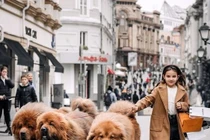 Top 5 giống chó khổng lồ nhất Trái đất, con người phải kiêng nể