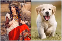 Cuộc đua tài vận 12 con giáp cuối 2022: Người đầy ví, kẻ trắng tay