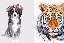 Quý Mão 2023: 3 con giáp rũ sạch xui xẻo đổi vận giàu sang 