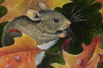 4 tuổi giàu ngút trời nửa đầu 2023, 1 tuổi làm trầy trật vẫn nghèo