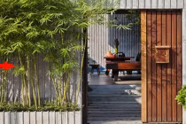 5 loại cây được ví như Thần Tài, trồng trước cửa gọi đủ tài lộc 