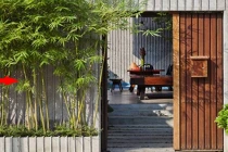 5 loại cây được ví như Thần Tài, trồng trước cửa gọi đủ tài lộc 