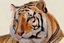 Thần Tài báo mộng giàu sang: 4 tuổi biến hung thành cát năm 2023 