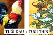 Bà Nguyệt se duyên: 3 cặp con giáp cứ lấy nhau là sướng hết phần thiên hạ