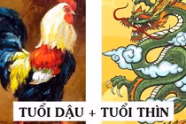 Bà Nguyệt se duyên: 3 cặp con giáp cứ lấy nhau là sướng hết phần thiên hạ