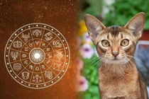 Tết Nguyên đán 2023: 4 tuổi hút cạn lộc Trời, 1 tuổi bù đầu trả nợ