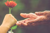 Người sinh ngày Âm lịch này sống lương thiện, hậu vận hưởng sung túc