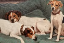 Đúng lễ Vu Lan: 3 con giáp phúc tinh soi đường, tiền tài tăng sốc 