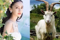 3 con giáp tháng 10 đổi vận, tháng 11 đại cát, tháng 12 ngập tiền 