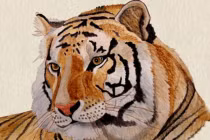 3 con giáp uống no lộc trời, 2 tháng cuối năm 2022 không lo đói 