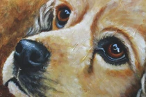 Tuần mới (29/8 - 4/9): 3 con giáp tiền bạc đầy nhà, sự nghiệp thăng hoa