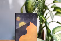 Dự báo về AI, hệ sinh thái và những lớp nghĩa trong 'Xứ Cát'