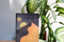 Dự báo về AI, hệ sinh thái và những lớp nghĩa trong 'Xứ Cát'