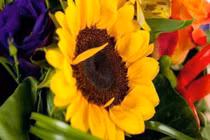 Sinh ngày Âm lịch này là người ham học hỏi, sự nghiệp thuận lợi