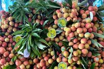 Vải thiều trúng giá, một ngày lão nông thu ngay 25 triệu đồng