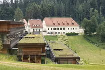 Tòa nhà dùng cỏ xanh để làm mái, vừa nhìn đã thấy mướt mắt