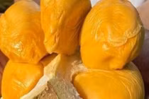 Sầu riêng ngon nhất thế giới đổ bộ chợ Việt, nhà giàu chi tiền ăn sang