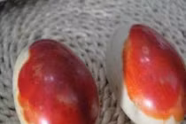 Đi đào măng phát hiện trứng đá dính máu, ai dè báu vật 