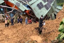 Dùng chó nghiệp vụ tìm nạn nhân vụ sạt lở thủy điện Kà Tinh 1