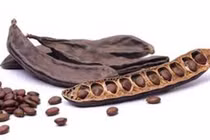 Gia vị mùi như... tất thối nhưng lại là đặc sản được yêu thích