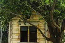 Hiện trạng những biệt thự Pháp cổ trứ danh trong lòng thủ đô Hà Nội