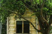 Hiện trạng những biệt thự Pháp cổ trứ danh trong lòng thủ đô Hà Nội