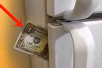 Nhét tờ tiền vào khe cửa tủ lạnh: Tiết kiệm cả triệu tiền điện