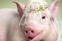 Từ tháng 3/2022: 3 con giáp đổi đời đại gia, tiền tiêu mãi không hết 