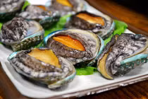 Bất ngờ về nguồn gốc của bào ngư tươi giá siêu rẻ chỉ 25 nghìn đồng/con