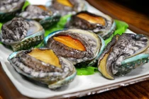 Bất ngờ về nguồn gốc của bào ngư tươi giá siêu rẻ chỉ 25 nghìn đồng/con