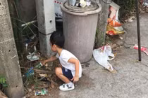 Con quá lười học, cặp vợ chồng nghĩ cách dạy dỗ... cộng đồng mạng thán phục