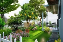 Trước cửa 2 thứ xanh tươi 3 đời giàu có, 1 thứ quá rộng nghèo thảm