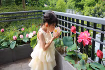 Mê mẩn đầm sen trên ban công của mẹ trẻ Hà thành